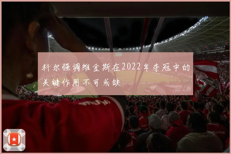 科尔强调维金斯在2022年夺冠中的关键作用不可或缺